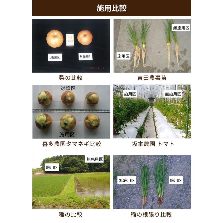 アルム純（アルムジュン）1L 「有機JAS適合」 漢方高濃度活性剤 家庭菜園 活性剤 オーガニック アル厶農材 |  | 06