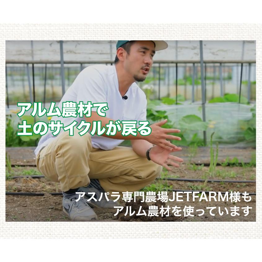 アルム純（アルムジュン）250ml 4本セット「有機JAS適合」 漢方高濃度活性剤 家庭菜園 活性剤 オーガニック アル厶農材 |  | 14