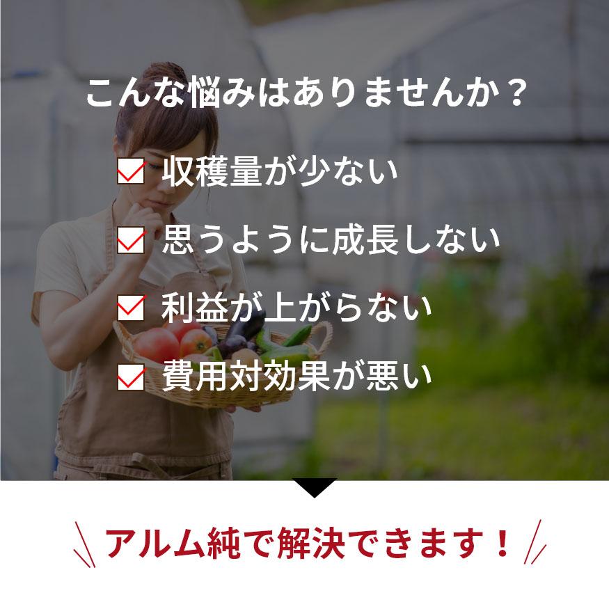アルム純（アルムジュン）3L 2本セット「有機JAS適合」 漢方高濃度活性剤 家庭菜園 活性剤 オーガニック アル厶農材 |  | 04