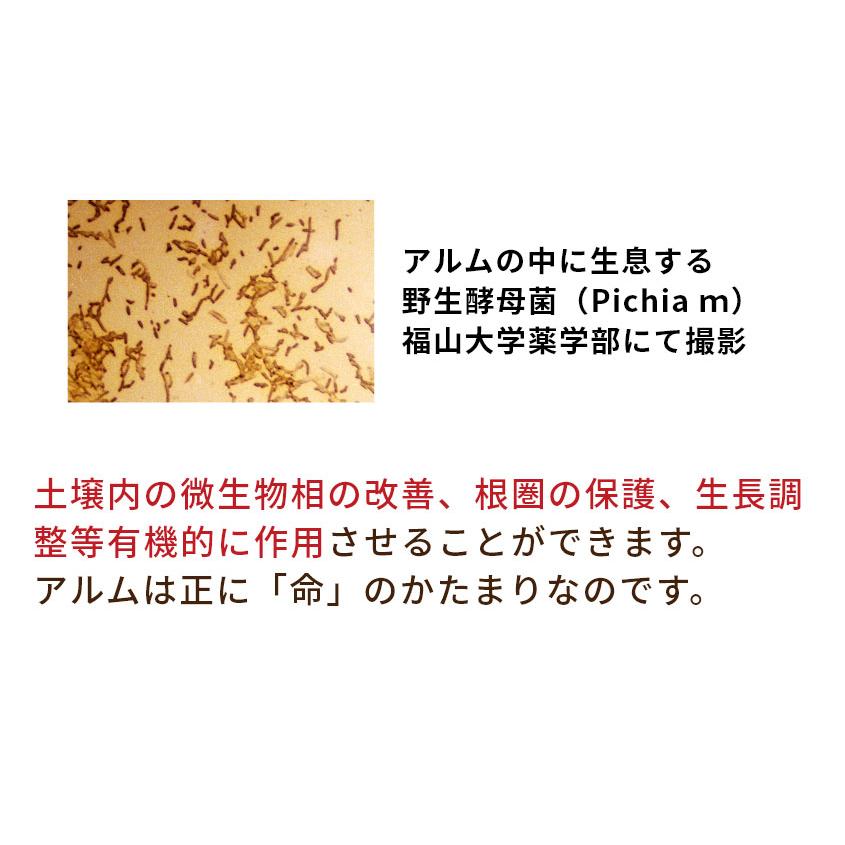 アルム純（アルムジュン）3L 「有機JAS適合」 漢方高濃度活性剤 家庭菜園 活性剤 オーガニック アル厶農材 |  | 16