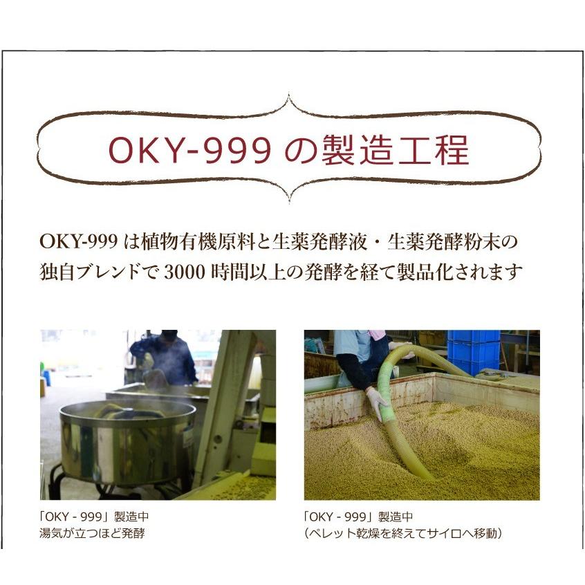 OKY‐999  10kg 5袋セット「有機JAS適合」 乳酸菌 放線菌 酵母菌 土づくり ＆ 有機物 分解促進 強力 土壌改良材 ぼかし肥料  アル厶農材｜greenfront｜07