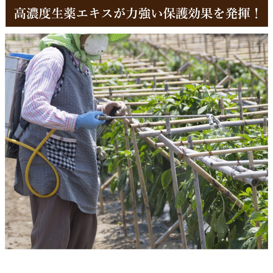 アルム凛 1L 2本セット 有機JAS適合 漢方高濃度保護材 活性剤 植物活力剤 植物活性剤 無農薬栽培 対策 アル厶農材 |  | 04