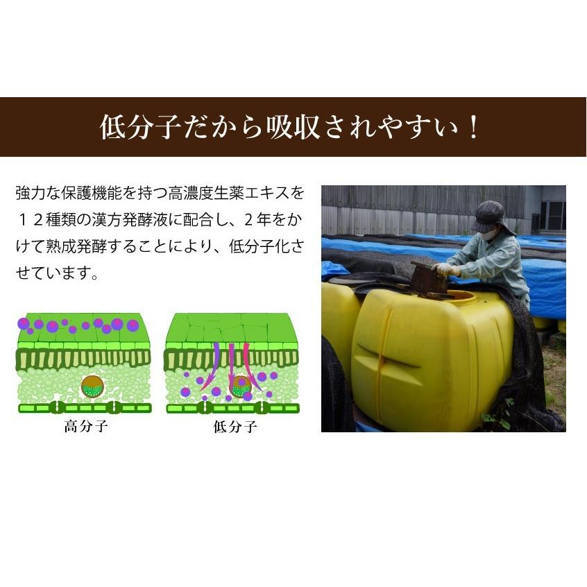 アルム凛 3L 有機JAS適合 漢方高濃度保護材 活性剤 植物活力剤 植物活性剤 無農薬栽培 対策 アル厶農材 |  | 06