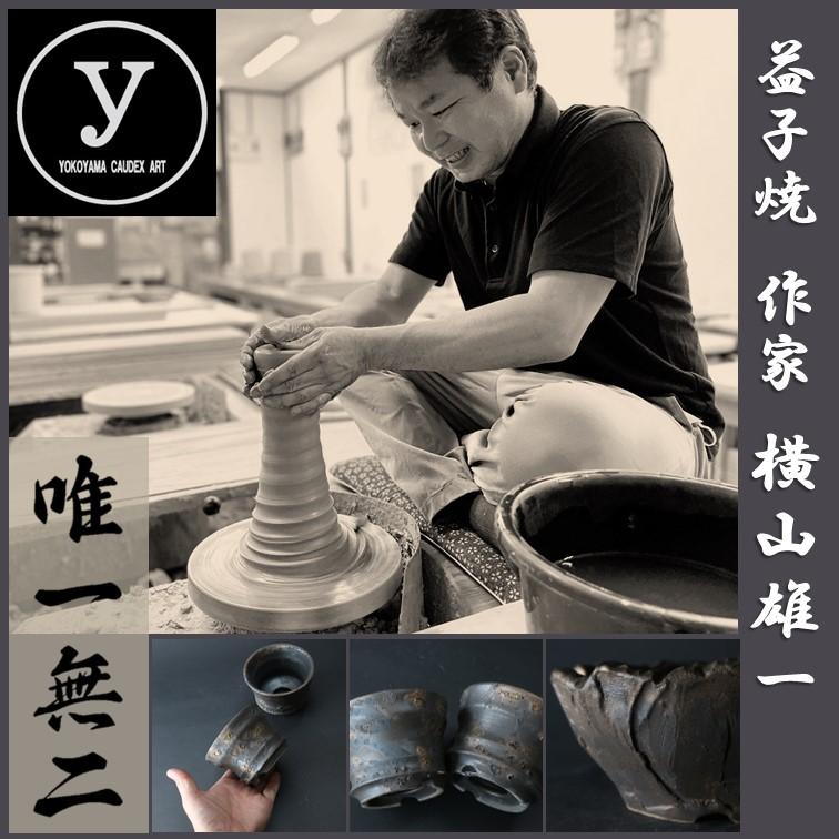 小品盆栽 秋静庵 小松泉 小松泉　秋静庵　小品盆栽　山野草 山野草 【公式 山野草 小品盆栽 秋静庵 小松泉 工芸品