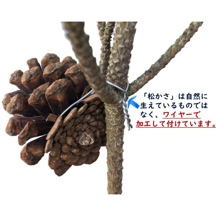 正月飾り 松かさ付き 輪飾り 2本セット お正月飾り 松 お飾り 輪かざり 松かさ インテリア しめ縄 : 植物専門店 GREENGLASS ...