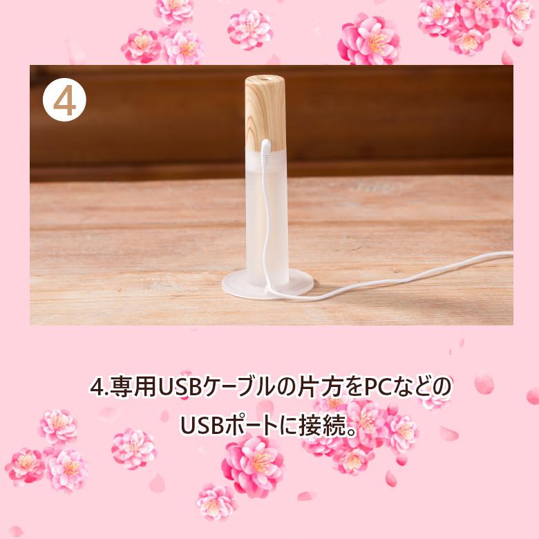 GREEN HOUSE（グリーンハウス） 加湿器 スティック型 超音波 卓上