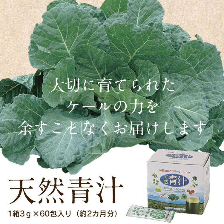 青汁 国産 ケール 90％ 乳酸菌 緑黄色野菜  天然青汁 60袋 1箱 送料無料 無添加 ケール青汁 子供 野菜不足 効果 大分県産｜greenhouse｜11