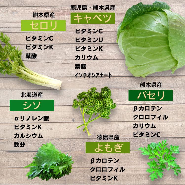 青汁 国産 ケール 90％ 乳酸菌 緑黄色野菜  天然青汁 60袋 1箱 送料無料 無添加 ケール青汁 子供 野菜不足 効果 大分県産｜greenhouse｜14