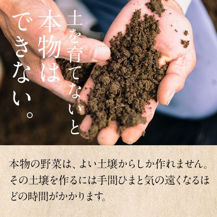 青汁 ケールの青汁 国産青汁 レモンの青汁 60袋 送料無料 1日分のビタミンC 免疫力 スーパーフード 大分県産 野菜不足 酵素青汁 ビーガン|greenhouse|08