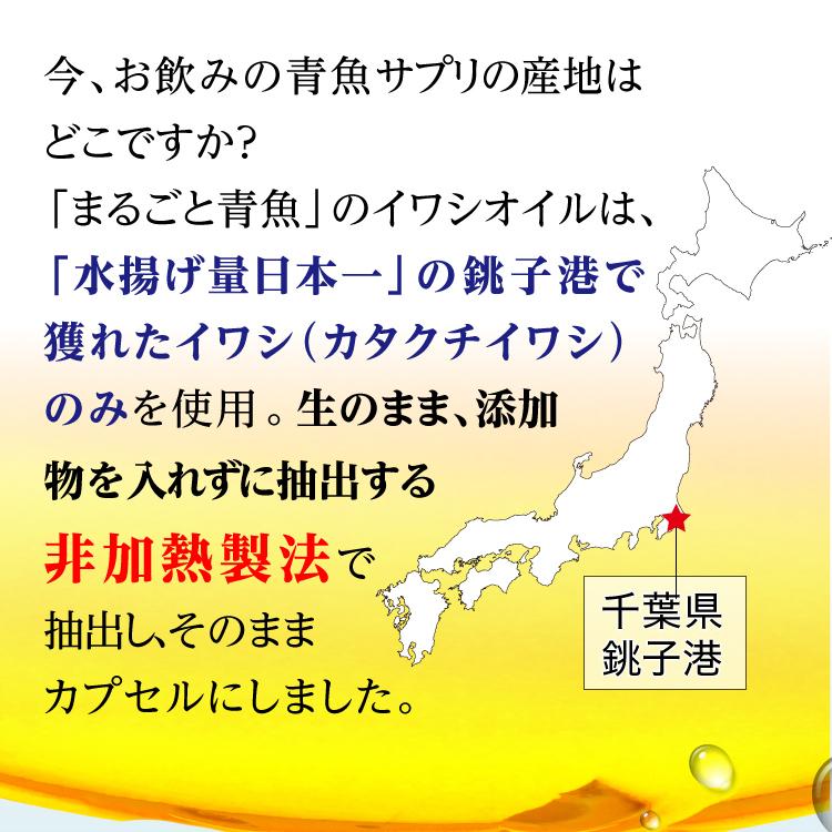 dha epa dpa 青魚サプリ DHAサプリ coQ10 非加熱 イワシ 1粒で2尾分「まるごと青魚 」1袋 初回限定 50%OFF 送料無料|greenhouse|06