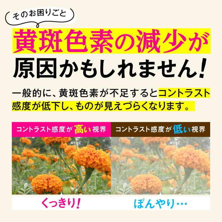 green house（グリーンハウス） 目のサプリメント 眼力 GANRIKI サプリ