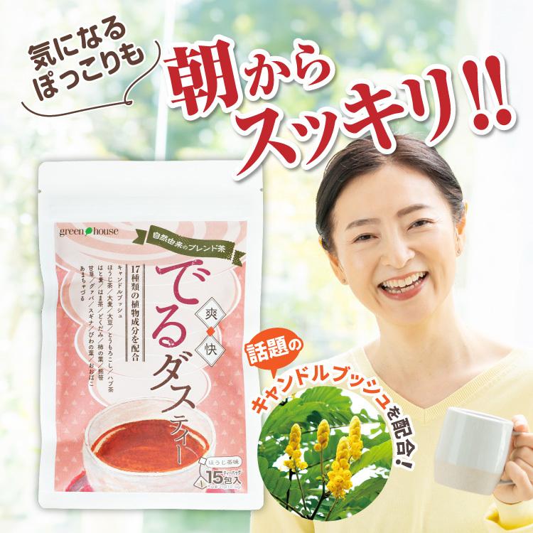 送料無料 5%OFF お茶 どっさり 爽快でるダスティー 3袋 1袋あたり1.8g