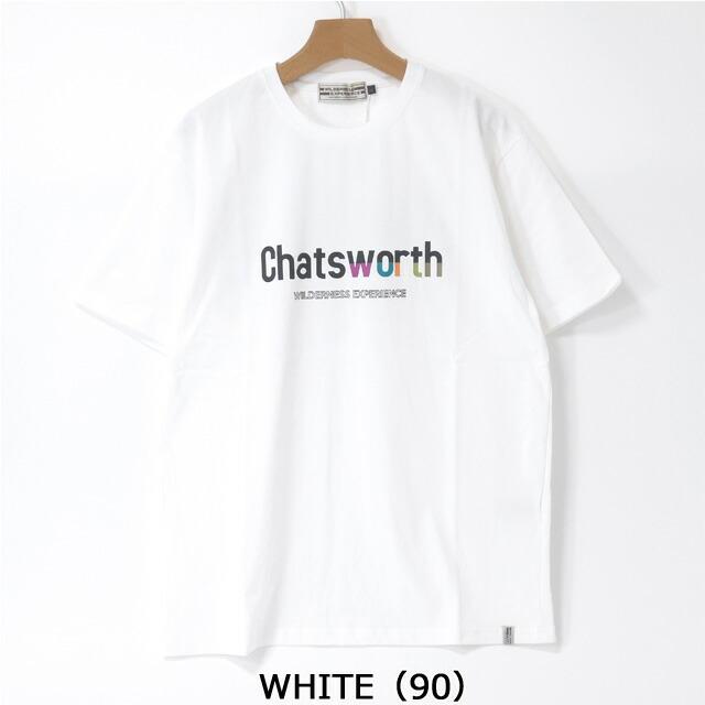 ウィルダネスエクスペリエンス　Tシャツ　Chatsworth Rainbow TEE（メンズ）　チャッツワースレインボーTEE　WILDERNESS EXPERIENCE　虹　キャンプ　822505｜greenlabo555｜03
