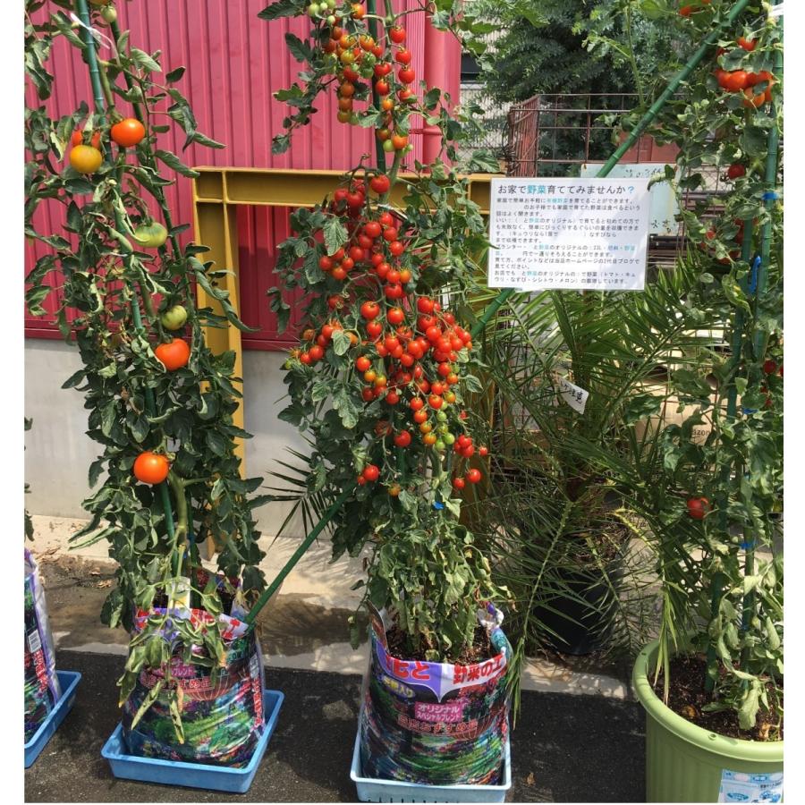 花と野菜のオリジナルの土23L : 花と緑のグリーンライフ.com - 通販