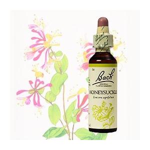 sasa■16ハニーサックル24パイン10mlレスキューレメディー30ml RESCUE ハニーサックル 10ml バッチフラワーレメディー エッセンス