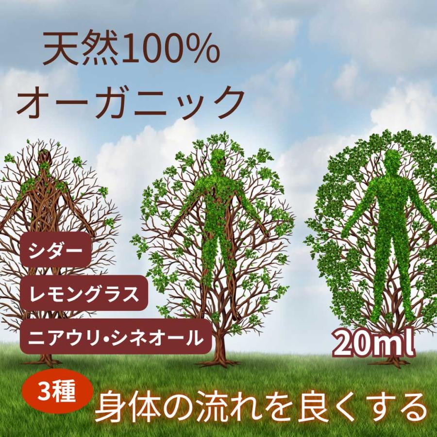 身体 流れ 良くする アロマスプレー 20ml ケモタイプ精油 オーガニック 天然100% 香りが選べる 送料無料 携帯用 除菌 ルームスプレー  日本製 リラックス 雑貨 | 