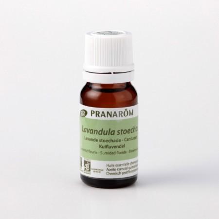 プラナロム（PRANAROM） ラベンダーストエカス 10ml アロマ アロマ