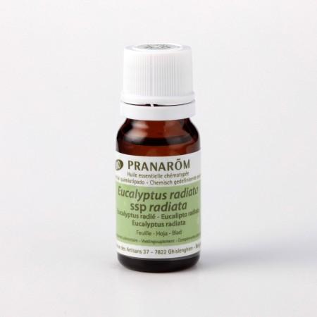 プラナロム（PRANAROM） ユーカリラディアタ 10ml アロマ アロマオイル