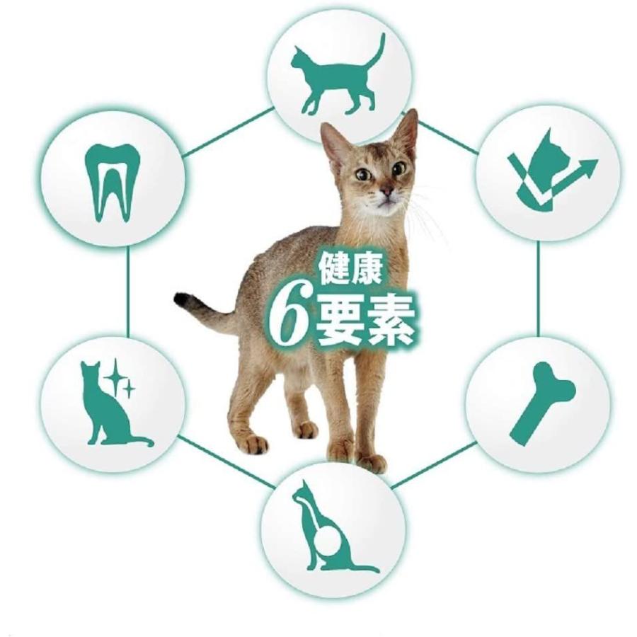 ギフト 犬用品 ピュリナ ワン ピュリナ ワン 成猫用 1歳以上 メタボリックエネルギーコントロール 太りやすい猫用 ターキー 2 2kg 550g 4袋 Www Threeriversofs Com