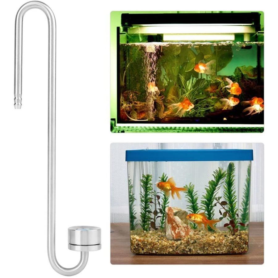 市場 Co2拡散器 ステンレスco2ディフューザー 拡散部直径2 4cm 平底