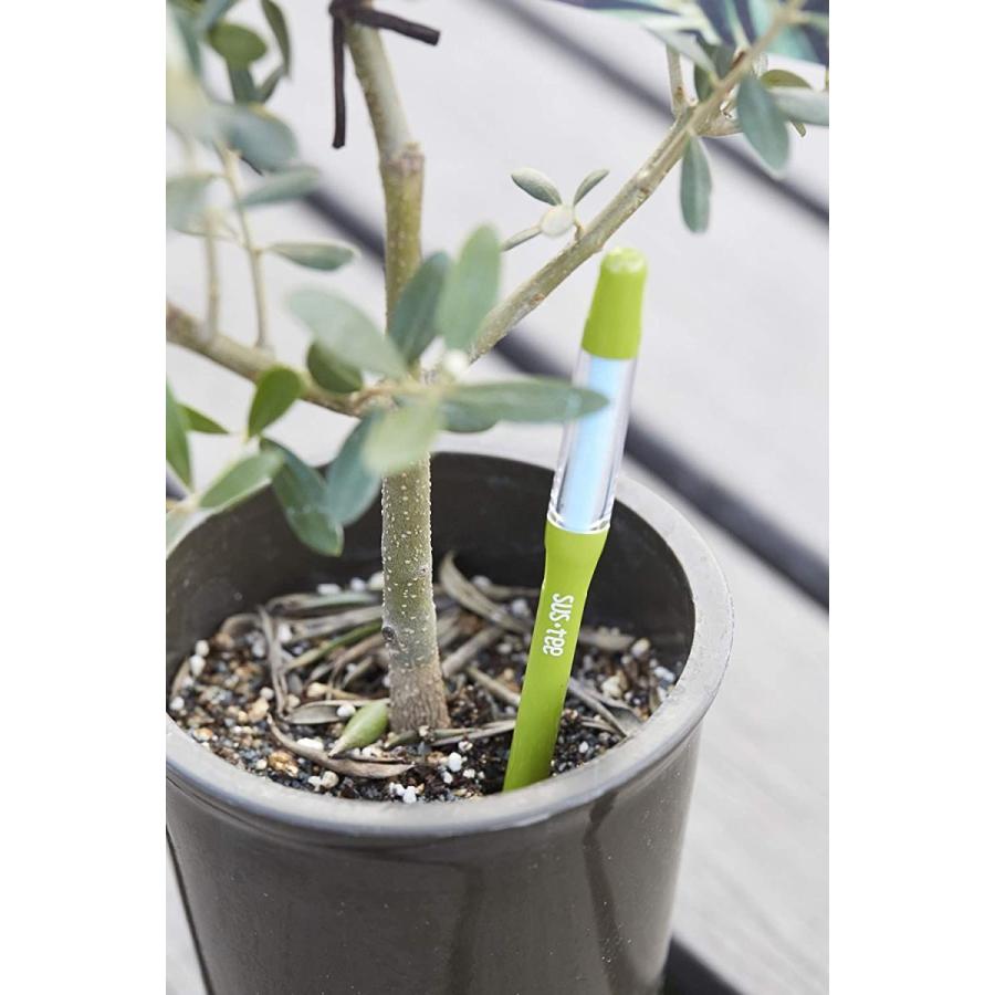 高評価 キャビノチェ Sustee 水やりチェッカー サスティー M サイズ グリーン C 0012 Gr Discoversvg Com