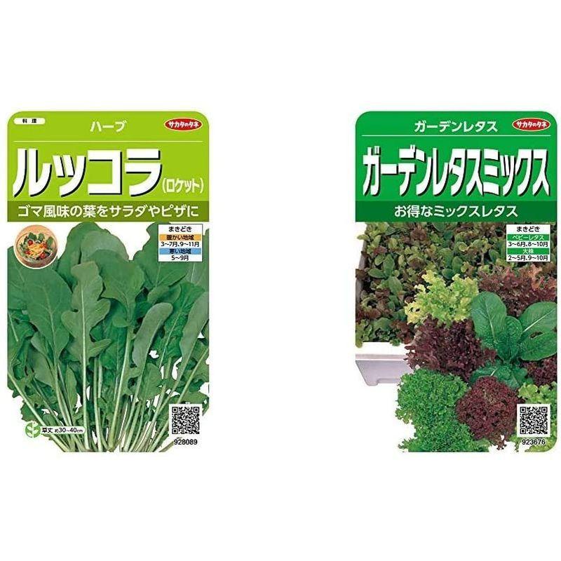 66円 冬バーゲン ハーブ種子 チャイブ 0 9ml 実咲野菜