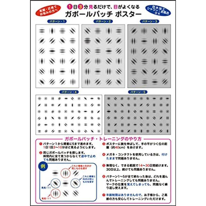 視力検査表ポスター 視力回復 ガボールパッチ Green Store 通販 Yahoo ショッピング
