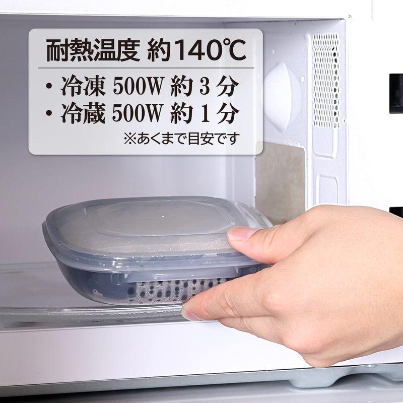 アストロ ザル付き 保存容器 2個組 日本製 ご飯 冷蔵・冷凍保存 電子 