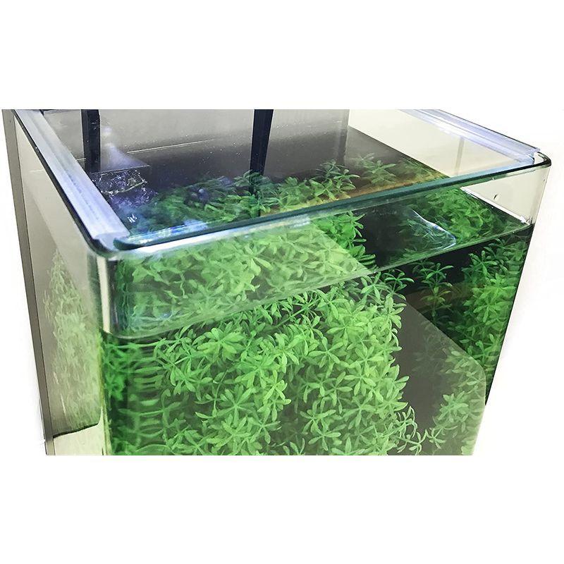 テトラ Tetra リビングキューブ 容量 12 オールインワン水槽 淡水 海水用 容量 約12l 熱帯魚 アクアリウム用品 水槽 金 アクアリウム 水槽 熱帯魚 Green Store メダカ 全国のネット通販