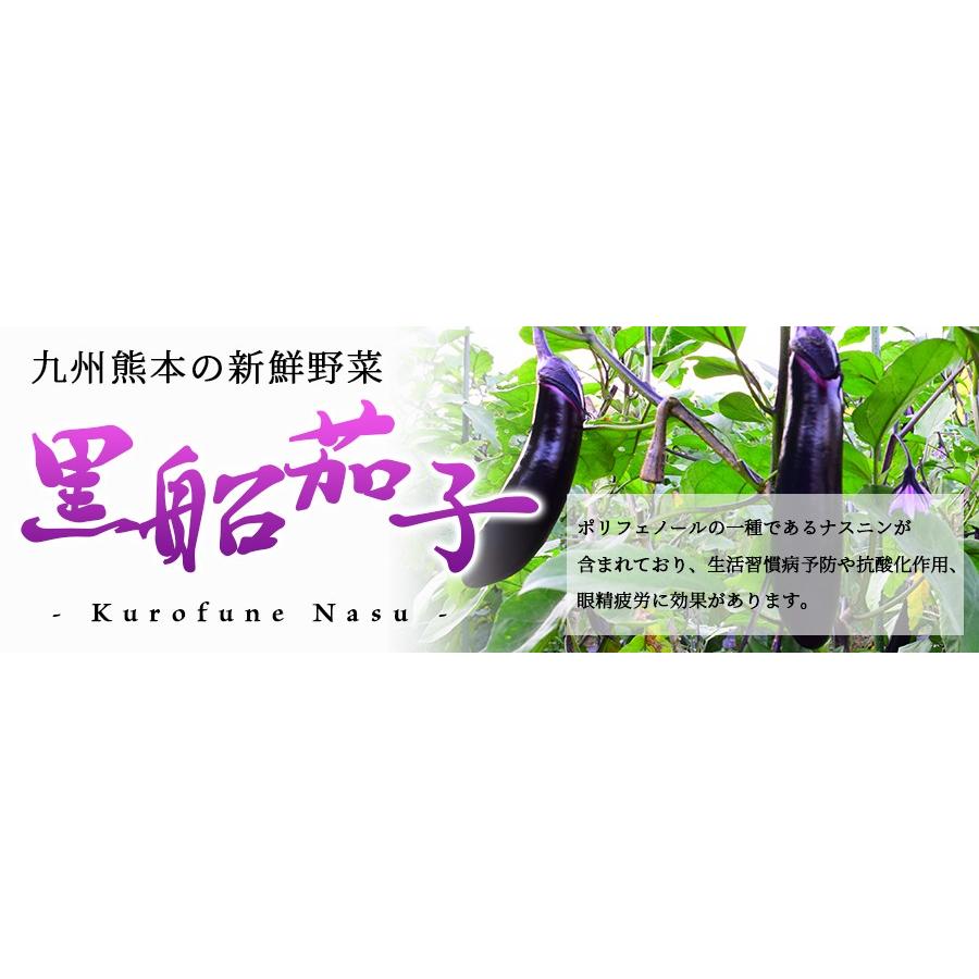 減農薬栽培 熊本県産 茄子 なすび 黒船なす 有機肥料 訳あり 10kg 九州