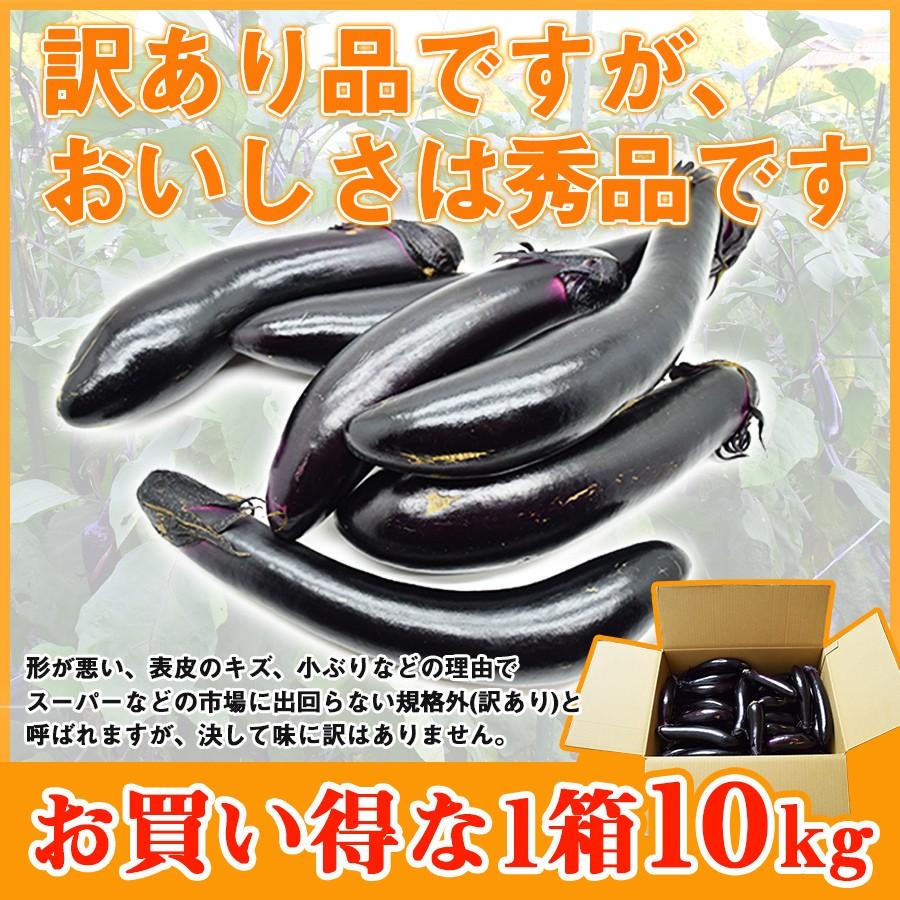 減農薬栽培 熊本県産 茄子 なすび 黒船なす 有機肥料 訳あり 10kg 九州