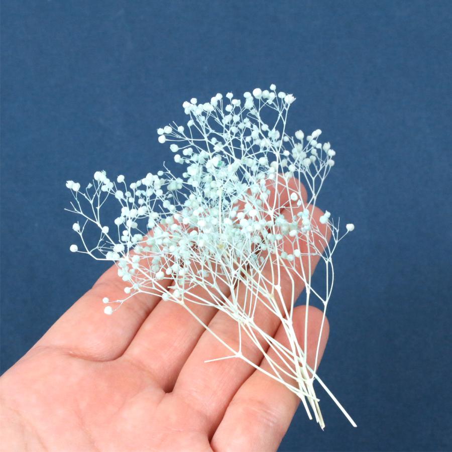 ドライフラワー 約1g カスミ草 スカイブルー [小花 プリザーブド