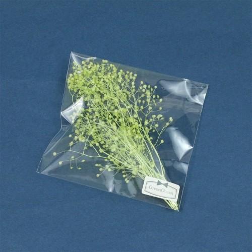 ドライフラワー 約1g カスミ草 ミントグリーン [小花 プリザーブドフラワー 花材 flower かすみ草 カスミソウ 春] |  | 07