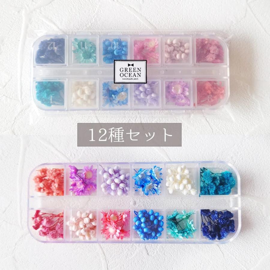 隠れ工房GreenOcean ドライフラワー プリザーブドフラワー12種セット