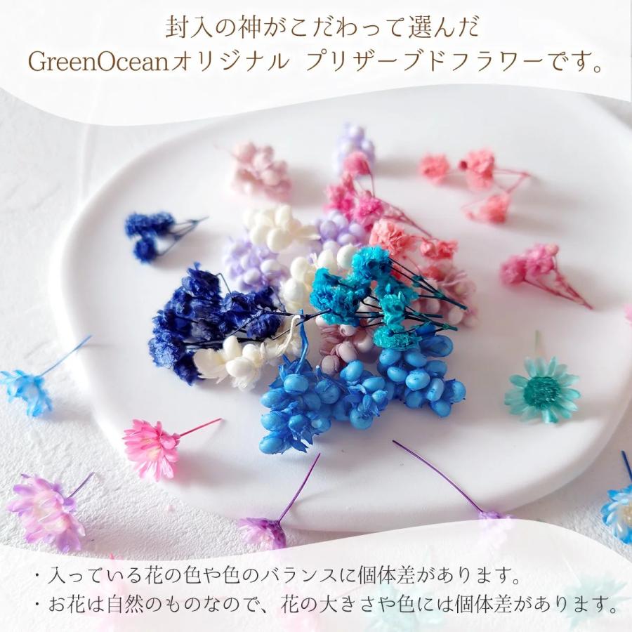 隠れ工房GreenOcean ドライフラワー プリザーブドフラワー12種セット
