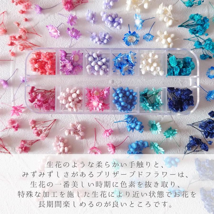 隠れ工房GreenOcean ドライフラワー プリザーブドフラワー12種セット