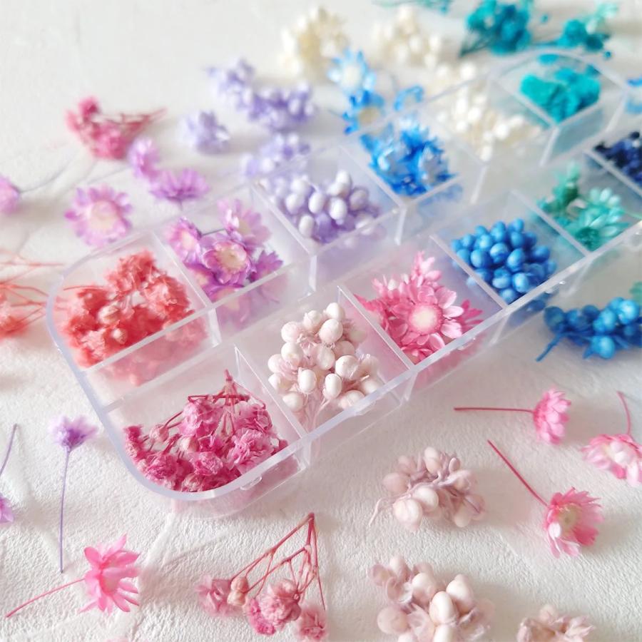 隠れ工房GreenOcean ドライフラワー プリザーブドフラワー12種セット