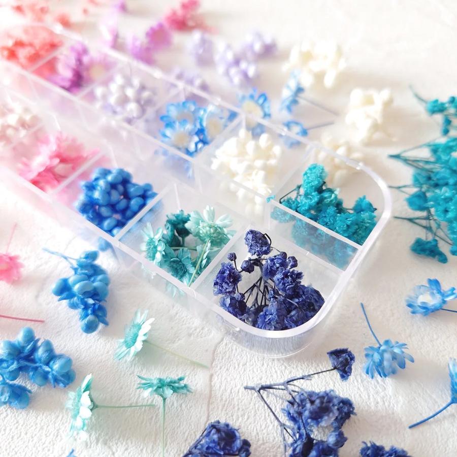 隠れ工房GreenOcean ドライフラワー プリザーブドフラワー12種セット