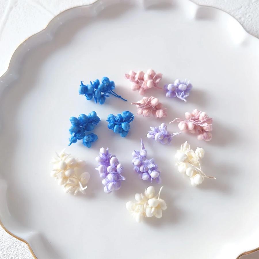 隠れ工房GreenOcean ドライフラワー プリザーブドフラワー12種セット