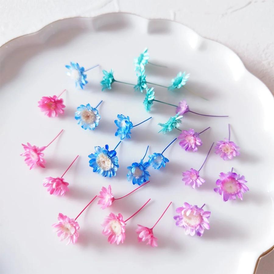 隠れ工房GreenOcean ドライフラワー プリザーブドフラワー12種セット