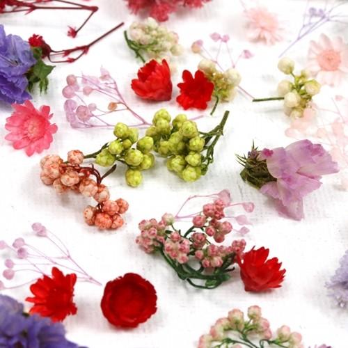 隠れ工房GreenOcean □ドライフラワー12種 全部可愛い♪スタッフお任せ