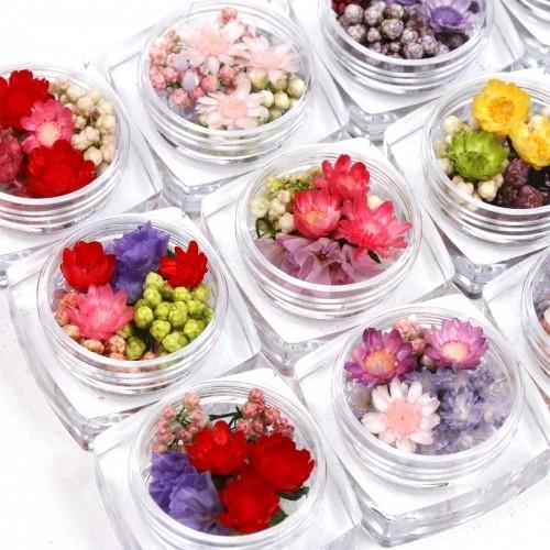 隠れ工房GreenOcean □ドライフラワー12種 全部可愛い♪スタッフ