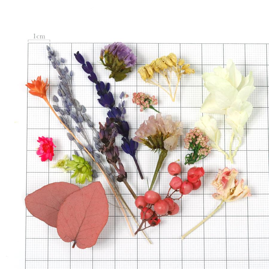 ドライフラワー 少しずつ色々詰まってる♪お花おまかせお特盛セット