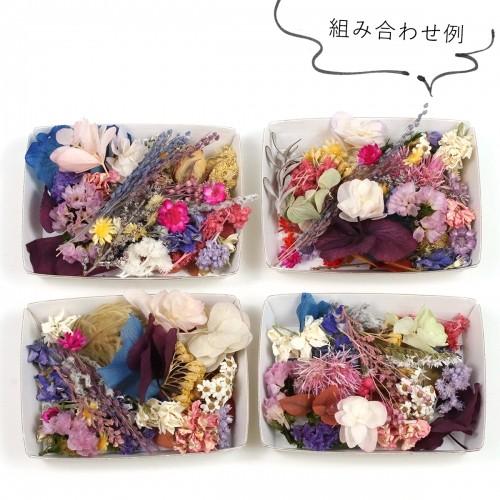 ドライフラワー 少しずつ色々詰まってる♪お花おまかせお特盛セット