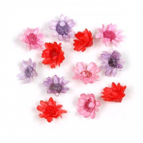 ドライフラワー 12輪 3色ミックス スターフラワー グラマラスレッド 小花 プリザーブドフラワー 花材 レッド 赤 紫 パープル ピンク 手芸 レジン封入 隠れ工房 Greenocean 通販 Yahoo ショッピング