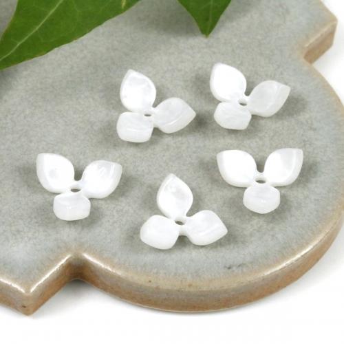プラパーツ 5個 あじさい 13mm パールホワイト 貼り付け カボション 和 アジサイ 紫陽花 梅雨 フラワー 花 手芸 アクリル 145 G 隠れ工房 Greenocean 通販 Yahoo ショッピング