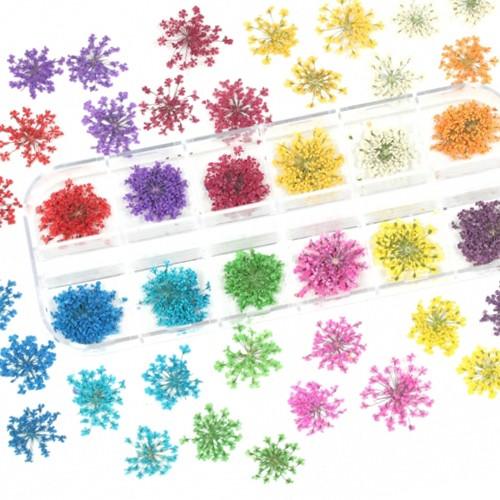 押し花 12種 レースフラワー 花材 プリザーブドフラワー カラフル
