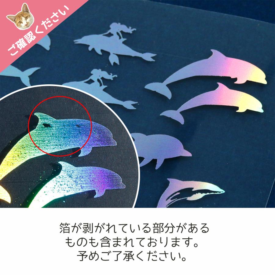 イラストシート イルカ&シャチ シルバーオーロラ いるか マリン サメ