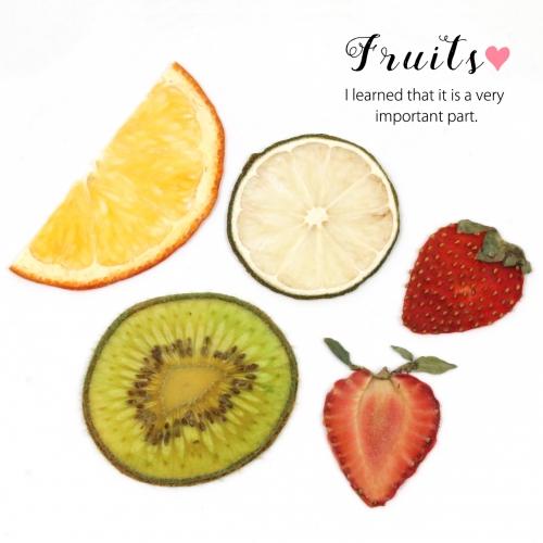 ドライフルーツ 4種5枚 押しフルーツ 本物のフルーツ プリザーブドフラワー 花材 オレンジ ライム キウイ みかん いちご イチゴ 果物 手芸 レジン 材料 G 隠れ工房 Greenocean 通販 Yahoo ショッピング