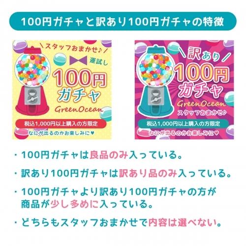 □ ガチャポン 波乱の運試し！！「訳あり」100円ガチャ！1注文につき1 